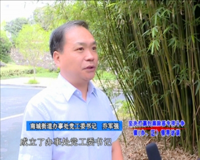 南城办事处：坚决打赢扫黑除恶专项斗争