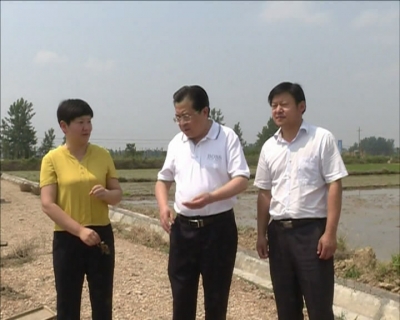 省农机局领导来枣调研农机化工作