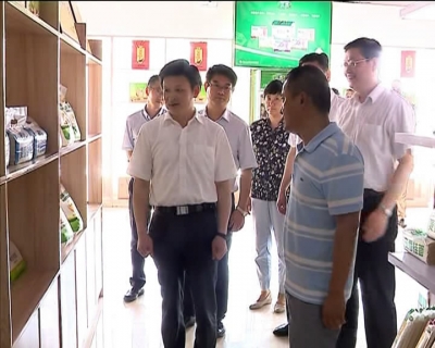 省粮食局局长张依涛来我市调研粮食工作