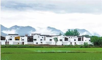 习近平：把实施乡村振兴战略摆在优先位置