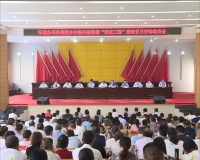 环城办事处“清洁工程”清表百日行动启动