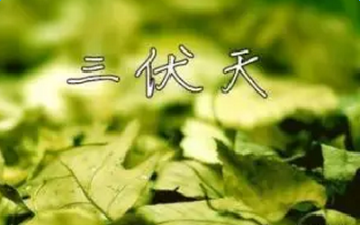 三伏天最易“招惹”几种病 想要舒服过伏天，就该这么养生！