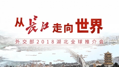 外交部2018湖北全球推介会