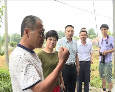 襄阳四中校长李静来我市参加人大代表主题实践活动