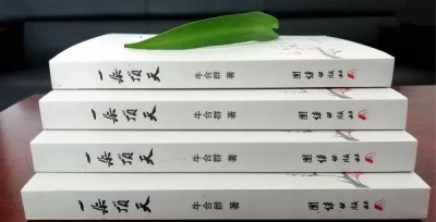 好书推荐：牛合群《一朵顶天》