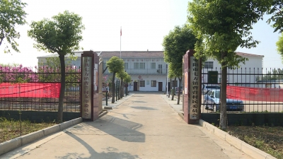七方镇曹营村：曹营村的振兴路