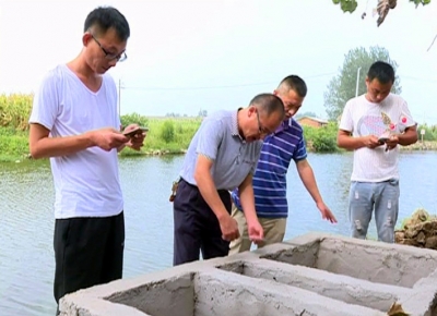 鹿头王城两镇强力推进“厕所革命”