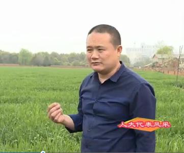 市人大代表、枣阳邦力达农资有限公司总经理汪德生