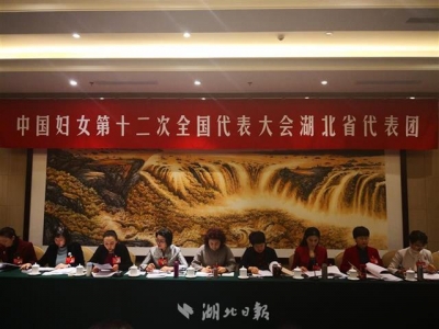 审议中国妇女十二大报告，听听湖北代表们说了啥 
