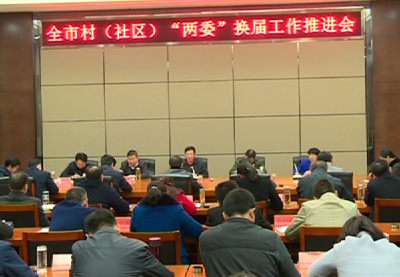 我市召开村（社区）“两委”换届工作推进会