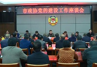 市政协召开政协委员活动组组长暨政协党的建设工作座谈会