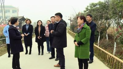 襄阳市政协副主席丁曼珞来我市走访政协委员