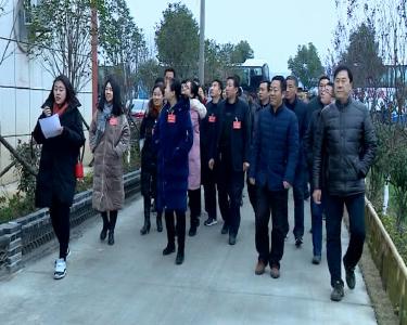 参加政协枣阳市八届三次会议的政协委员视察乡村振战略实施情况