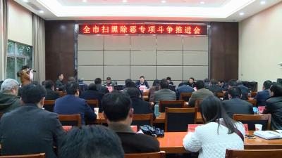 我市召开扫黑除恶专项斗争推进会