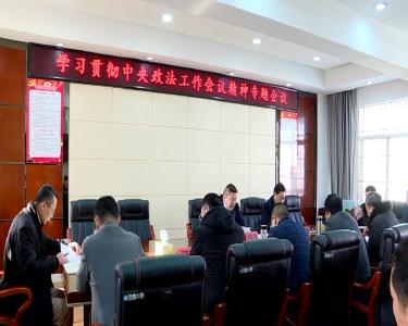 我市召开学习贯彻中央政法工作会议精神专题会议