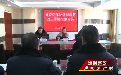 市领导督查各地省委第十巡视组反馈意见整改工作