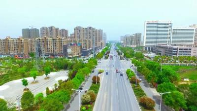 市城乡规划局党组：压实整改责任 以整改促工作