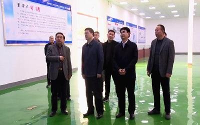 吕义斌来我市督办扫黑除恶和巡视巡察整改工作