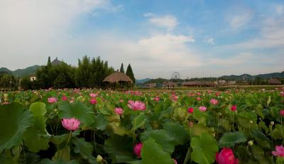 随阳管理区打造休闲农业与乡村旅游示范观光园