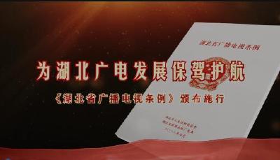 依法推进湖北广电高质量发展