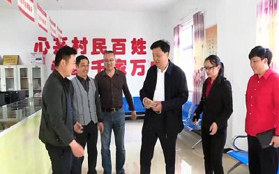 湖北金兰集团到王城镇开展“村企共建”活动