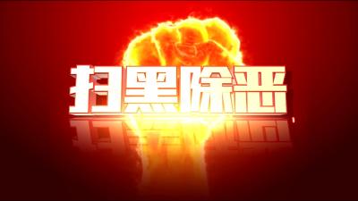 真抓真改真落实 ——湖北中央扫黑除恶专项斗争督导反馈问题整改综述
