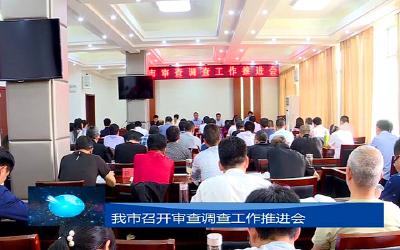 我市召开审查调查工作推进会