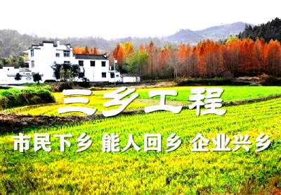 七方镇着力推动“三乡”工程取得新成效