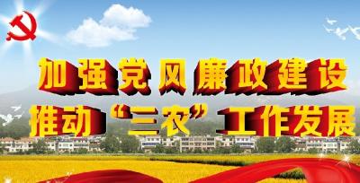 七方镇大力开展水稻保险工作