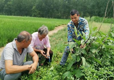 【寻找最美退役军人】：熊集镇湾堰村支部副书记 陈红星