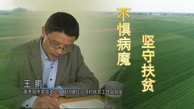 【来自脱贫攻坚一线的报告】湖北枣阳扶贫干部王鹏：不惧病魔 坚守扶贫