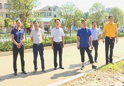 市领导督办西冷水沟片区征迁改造