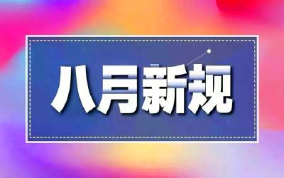 八月新规，来了！