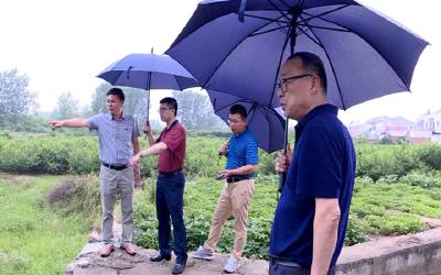 水利部调研我市中型灌区建设管理运行情况
