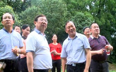 江苏省南通市通州区人大调研组来枣考察特色镇建设和非遗传承保护项目