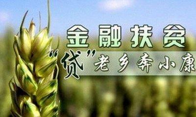 我市进一步规范完善扶贫小额信贷管理