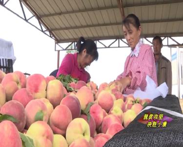 鹿头松扒村：用桃产业带领群众脱贫致富