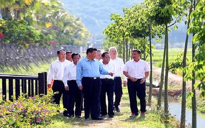 民以食为天，习近平心系中国饭碗