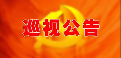 巡视公告