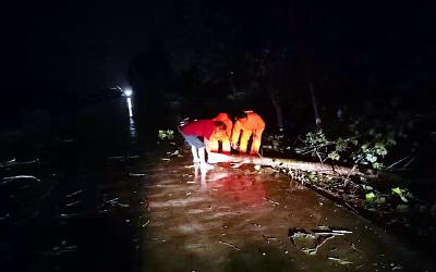 市公路局冒雨清理倒塌树木保障公路安全畅通