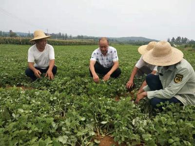 【双拥人物】：刘升镇赵老湾村支部书记 彭建辉