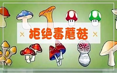 紧急提醒：这个东西不要碰！已有人因为它中毒