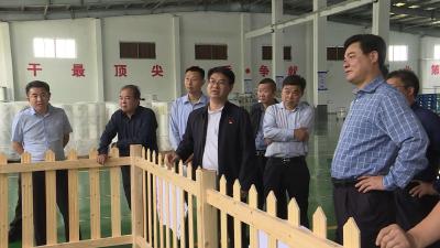 孟艳清、武义泉督办重点项目建设