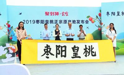 我市稳步推进优质桃产业链开发创新