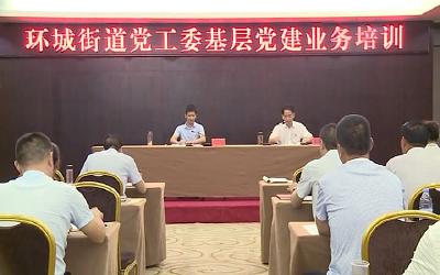 环城办事处对村（社区）两委干部进行集中培训