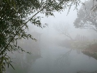中国古石雕大观园旅游攻略