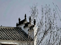 中国古石雕大观园旅游攻略