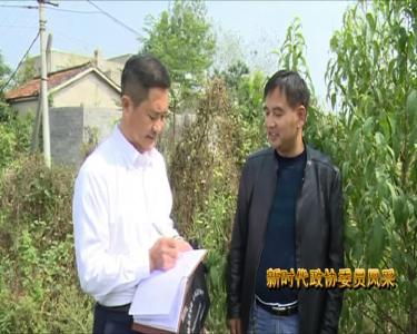 【新时代政协委员风采】习劲飞：用情讴歌家乡 用心履职尽责 