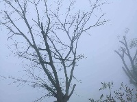 中国古石雕大观园旅游攻略