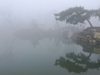 中国古石雕大观园旅游攻略